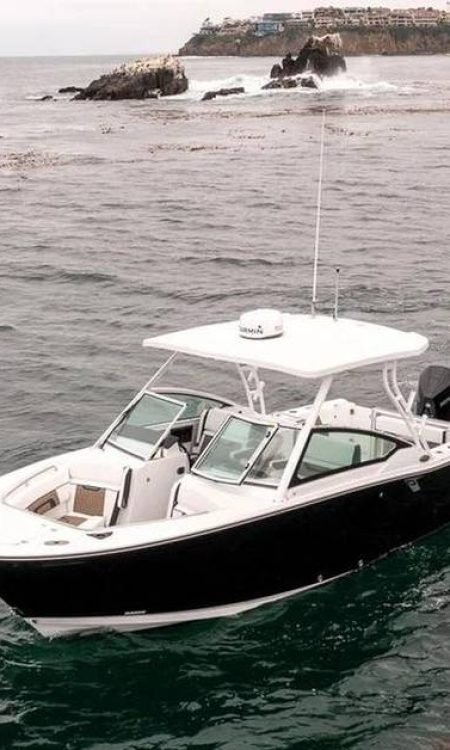 Blackfin272DC_PalmBeach-1.jpeg