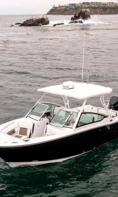 Blackfin272DC_PalmBeach-43.jpeg